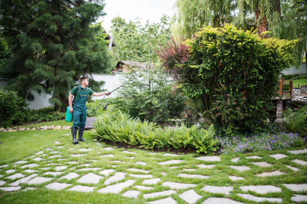 Best Pest Prevention Services  in Buchanan, VA