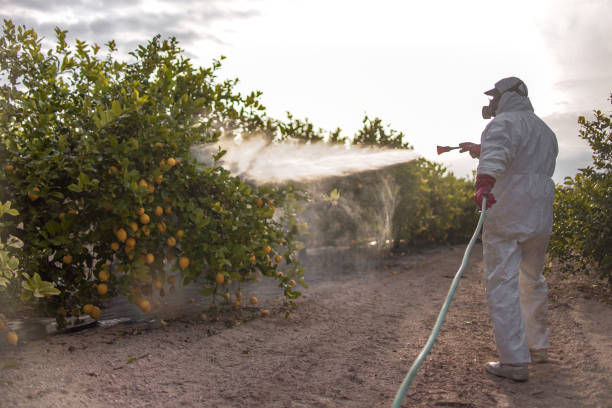 Best Pest Control Near Me  in Buchanan, VA