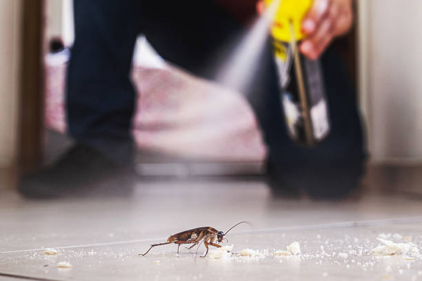 Best Pest Removal Services  in Buchanan, VA