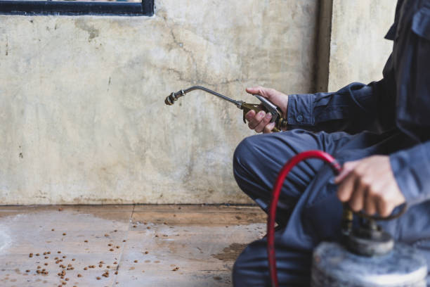 Best Pest Prevention Services  in Buchanan, VA