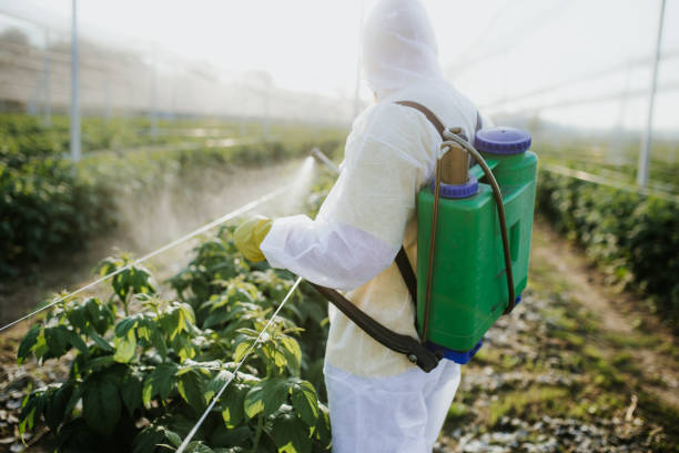 Best Commercial Pest Control Services  in Buchanan, VA